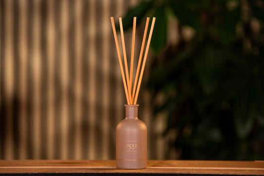 Diffusor First Bloom Collection Black Vanilla