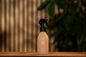 Raumspray First Bloom Collection Black Vanilla